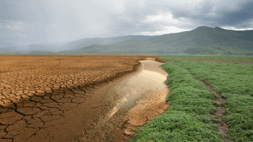 climate-change