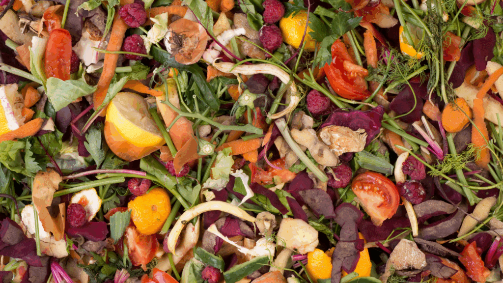 Compost-food-waste