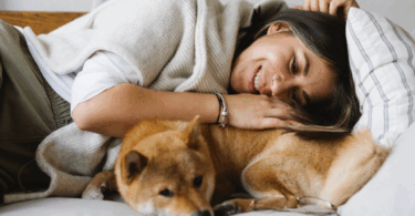 Dog Breeds That Love You Like Family